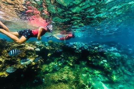 Snorkel Hire (Hideaway Resort)